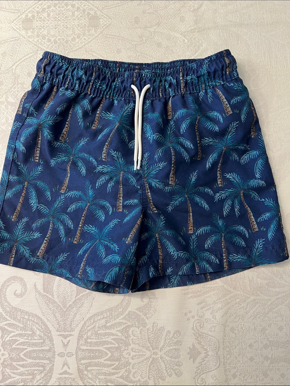 Boy’s Janie and Jack Swim Trunks